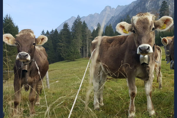 Texte für Newsletter