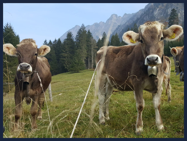 Texte für Newsletter